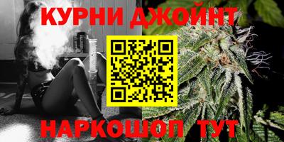 гашик Нальчик