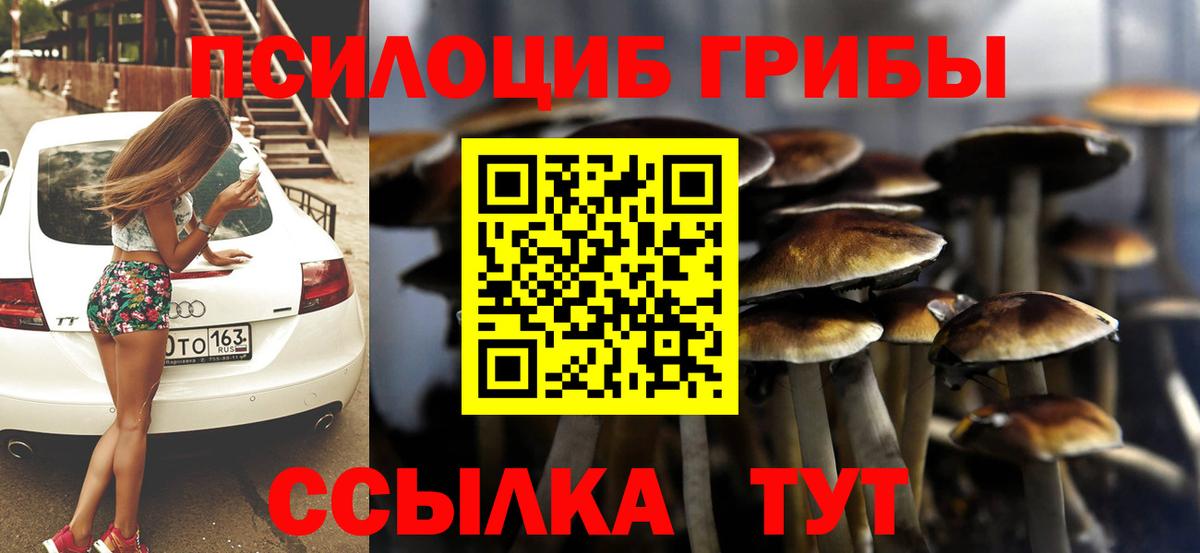 Галлюциногенные грибы Psilocybine cubensis  Галлюциногенные грибы мухоморы  Симферополь  Вход с VPN 